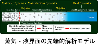 蒸気‐液界面の先端的解析モデル