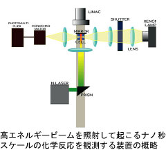 高エネルギービームを照射して起こるナノ秒スケールの化学反応を観測する装置の概略