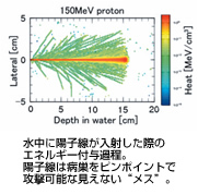水中に陽子線が入射した際のエネルギー付与過程。陽子線は病巣をピンポイントで攻撃可能な見えない“メス”。
